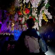 ヒメ日記 2025/08/12 07:25 投稿 さゆり ローテンブルク