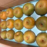 ヒメ日記 2025/08/15 10:42 投稿 さゆり ローテンブルク