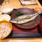 ヒメ日記 2025/08/26 20:54 投稿 さゆり ローテンブルク