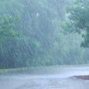 ヒメ日記 2025/09/05 07:06 投稿 さゆり ローテンブルク