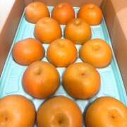 ヒメ日記 2025/09/05 11:25 投稿 さゆり ローテンブルク