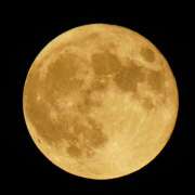 ヒメ日記 2025/09/08 01:44 投稿 さゆり ローテンブルク