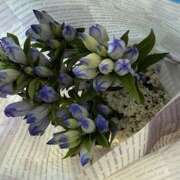 ヒメ日記 2025/09/08 11:02 投稿 さゆり ローテンブルク