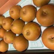 ヒメ日記 2025/09/26 10:12 投稿 さゆり ローテンブルク