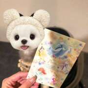 ヒメ日記 2025/10/09 19:27 投稿 さゆり ローテンブルク