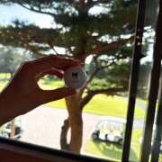 ヒメ日記 2025/10/10 08:39 投稿 さゆり ローテンブルク