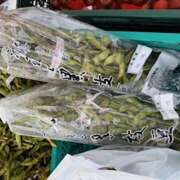 ヒメ日記 2025/10/14 11:05 投稿 さゆり ローテンブルク