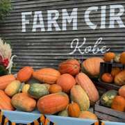 ヒメ日記 2025/10/15 06:17 投稿 さゆり ローテンブルク