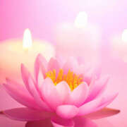 ヒメ日記 2025/10/21 21:17 投稿 さゆり ローテンブルク