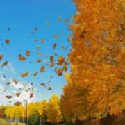 ヒメ日記 2025/10/28 05:06 投稿 さゆり ローテンブルク