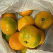 ヒメ日記 2025/10/29 21:17 投稿 さゆり ローテンブルク