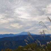 ヒメ日記 2025/11/03 05:28 投稿 さゆり ローテンブルク