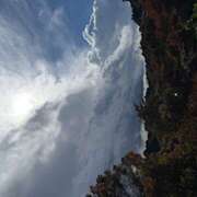 ヒメ日記 2025/11/03 12:19 投稿 さゆり ローテンブルク