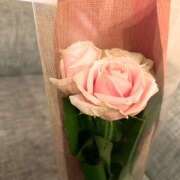 ヒメ日記 2025/11/06 06:47 投稿 さゆり ローテンブルク