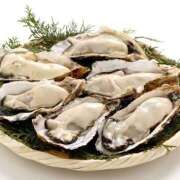 ヒメ日記 2025/11/11 01:01 投稿 さゆり ローテンブルク