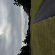 ヒメ日記 2025/11/11 11:03 投稿 さゆり ローテンブルク