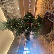 ヒメ日記 2025/12/24 06:19 投稿 さゆり ローテンブルク