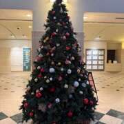 ヒメ日記 2025/12/25 06:57 投稿 さゆり ローテンブルク