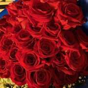 ヒメ日記 2025/12/28 14:00 投稿 さゆり ローテンブルク