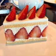 ヒメ日記 2026/01/12 20:16 投稿 さゆり ローテンブルク