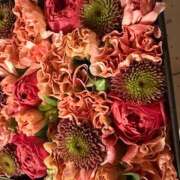 ヒメ日記 2026/01/20 22:38 投稿 さゆり ローテンブルク