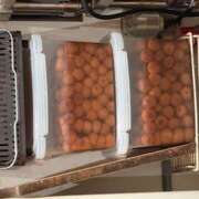 ヒメ日記 2026/02/08 21:37 投稿 さゆり ローテンブルク