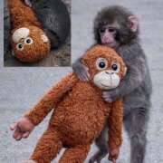 ヒメ日記 2026/02/20 19:16 投稿 さゆり ローテンブルク