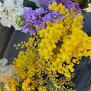 ヒメ日記 2026/02/28 10:39 投稿 さゆり ローテンブルク