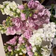 ヒメ日記 2026/02/28 22:01 投稿 さゆり ローテンブルク