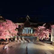 ヒメ日記 2026/03/02 06:55 投稿 さゆり ローテンブルク