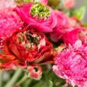 ヒメ日記 2026/03/13 06:00 投稿 さゆり ローテンブルク