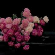 ヒメ日記 2026/03/19 05:16 投稿 さゆり ローテンブルク