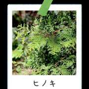 ヒメ日記 2026/03/19 21:37 投稿 さゆり ローテンブルク