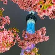 ヒメ日記 2026/03/20 06:45 投稿 さゆり ローテンブルク