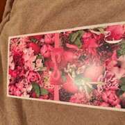 ヒメ日記 2026/03/21 16:47 投稿 さゆり ローテンブルク