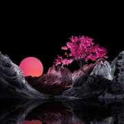 ヒメ日記 2026/03/26 06:14 投稿 さゆり ローテンブルク