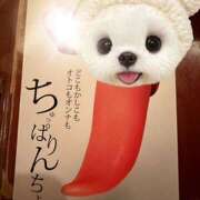 ヒメ日記 2026/04/18 09:34 投稿 さゆり ローテンブルク