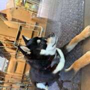 ヒメ日記 2026/04/18 13:22 投稿 さゆり ローテンブルク