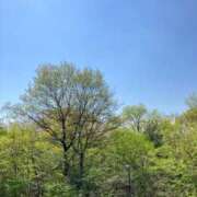 ヒメ日記 2026/04/26 08:41 投稿 さゆり ローテンブルク