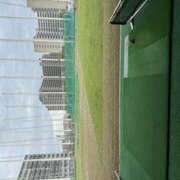 ヒメ日記 2026/05/08 14:38 投稿 さゆり ローテンブルク