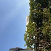 ヒメ日記 2026/06/08 18:45 投稿 さゆり ローテンブルク