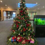 ヒメ日記 2024/12/18 23:12 投稿 紀香 ローテンブルク