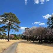 ヒメ日記 2025/03/17 22:00 投稿 紀香 ローテンブルク