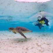 ヒメ日記 2025/04/21 10:16 投稿 紀香 ローテンブルク