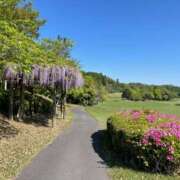 ヒメ日記 2025/04/30 08:45 投稿 紀香 ローテンブルク