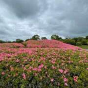 ヒメ日記 2025/06/04 11:23 投稿 紀香 ローテンブルク