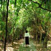 ヒメ日記 2025/06/27 09:40 投稿 紀香 ローテンブルク