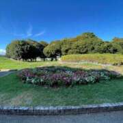 ヒメ日記 2025/07/27 07:20 投稿 紀香 ローテンブルク