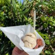 ヒメ日記 2025/08/22 08:46 投稿 紀香 ローテンブルク