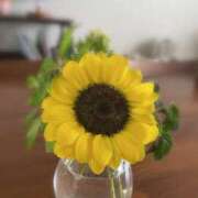 ヒメ日記 2025/09/06 05:58 投稿 紀香 ローテンブルク